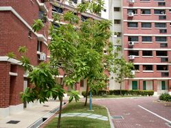 Blk 730 Tampines Street 71 (Tampines), HDB 4 Rooms #592861961